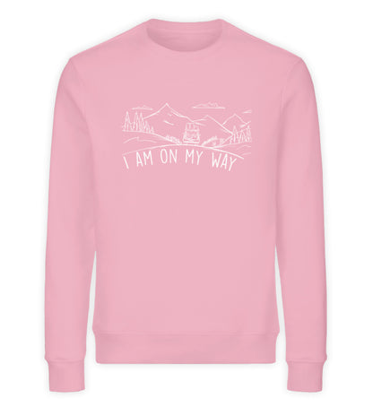 Cotton Pink-6883