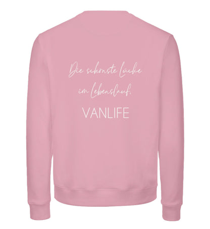 Cotton Pink-6883